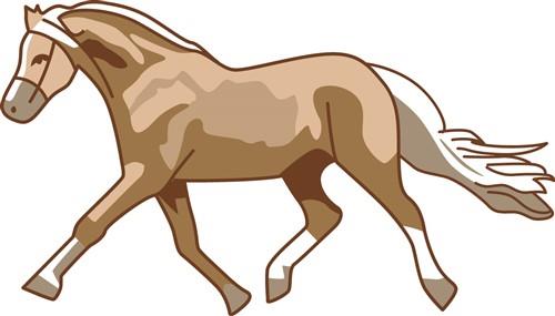 Pony Pony