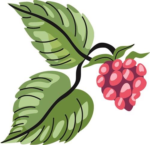 Raspberry Raspberry