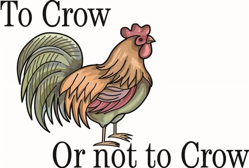 ROOSTER ROOSTER
