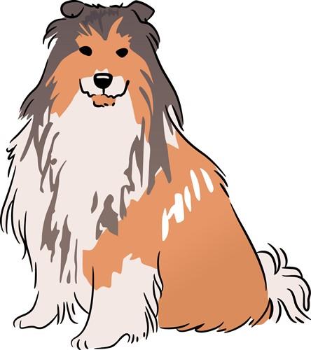 Rough Collie Rough Collie
