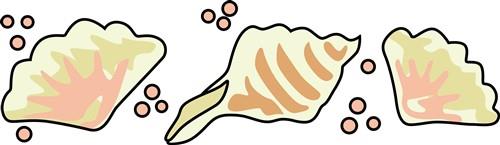 SEASHELLS SEASHELLS