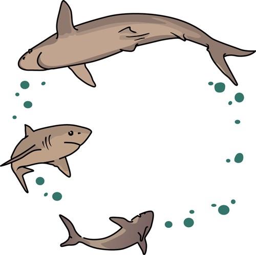Shark Ring Shark Ring