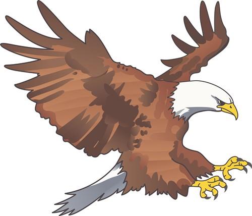 SMALL BALD EAGLE SMALL BALD EAGLE