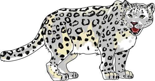 SNOW LEOPARD SNOW LEOPARD