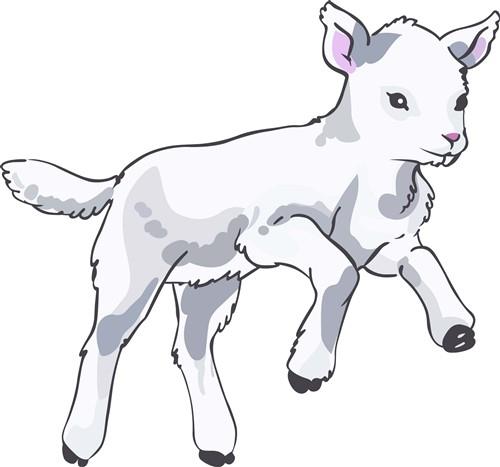 SPRING LAMB SPRING LAMB