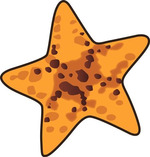 Starfish Starfish