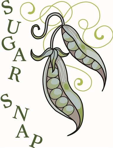 SUGAR SNAP SUGAR SNAP