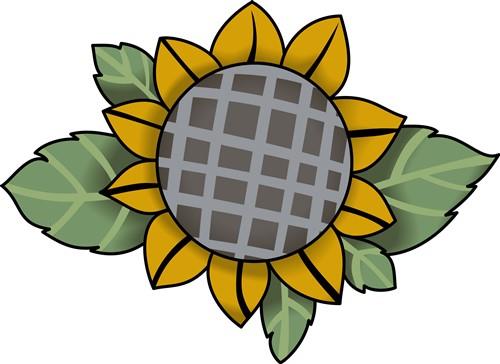 SUNFLOWER SUNFLOWER