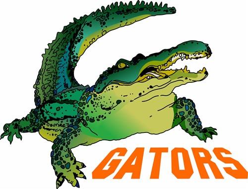 TEAM GATORS TEAM GATORS