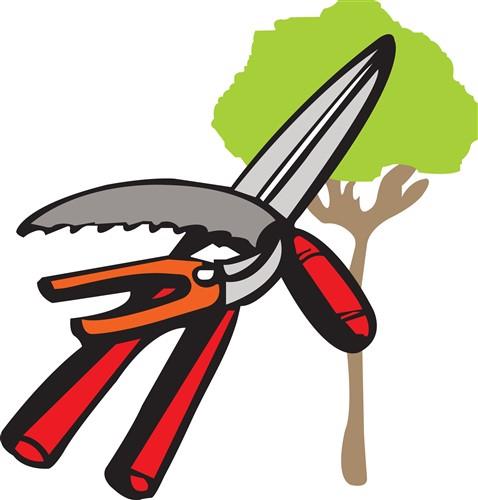 TREE PRUNING TREE PRUNING