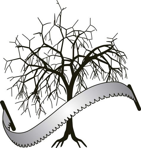 TREE REMOVAL TREE REMOVAL