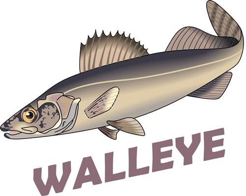 WALLEYE WALLEYE