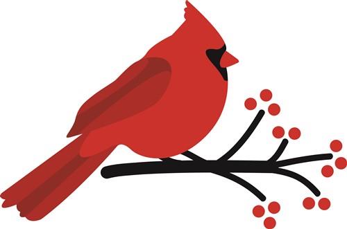 Cardinal Reading A Book Clipart