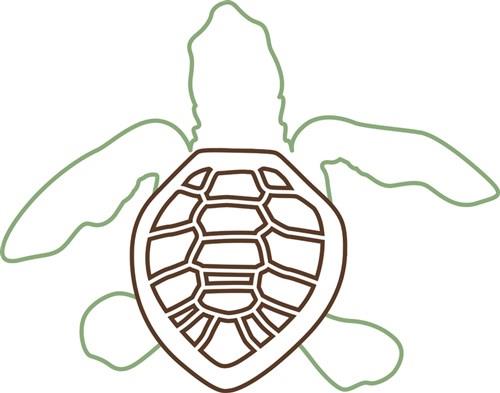 baby turtle drawing outline