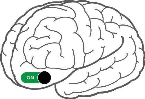 Brain On Brain On
