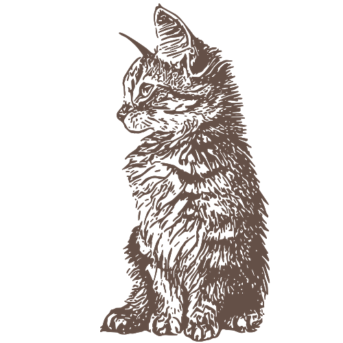 SVG > paw animal cat print - Free SVG Image & Icon.