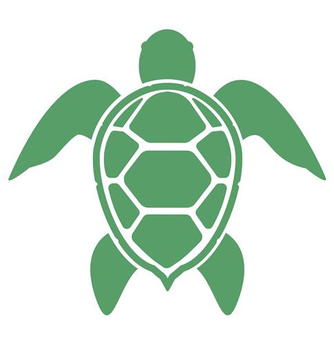 Turtle Turtle