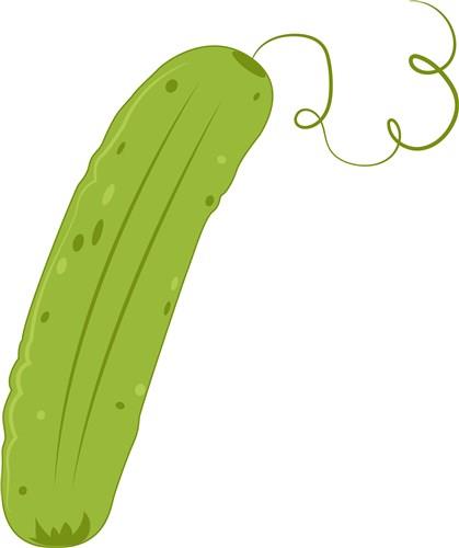 dill pickle clipart