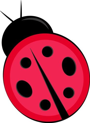 Buy Ladybug Eps Png online in USA