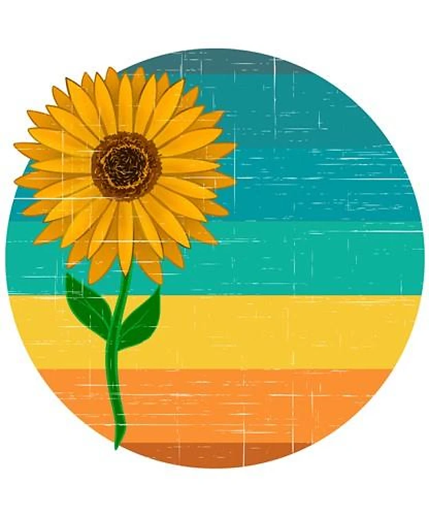 Sunflower Sunset