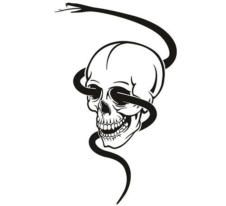 Snake Skull