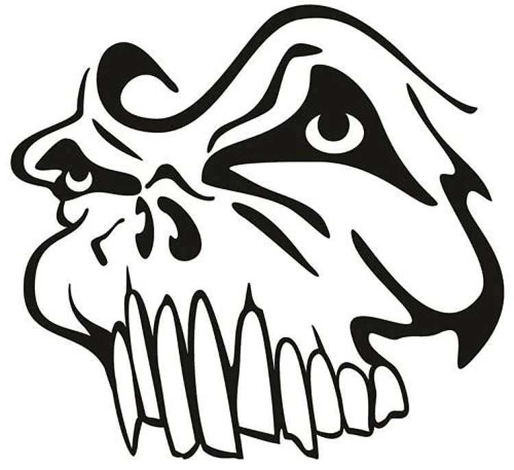 Skull Face