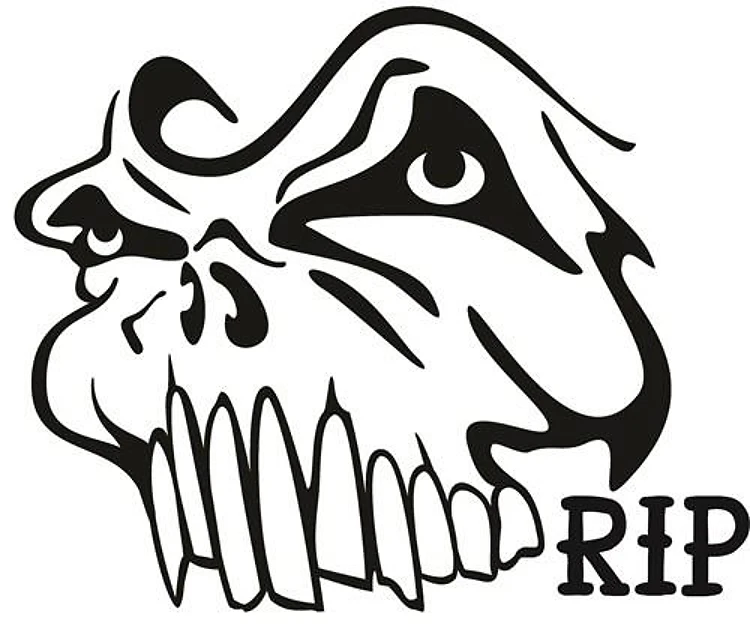 RIP Skull
