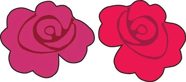 Rose Flower