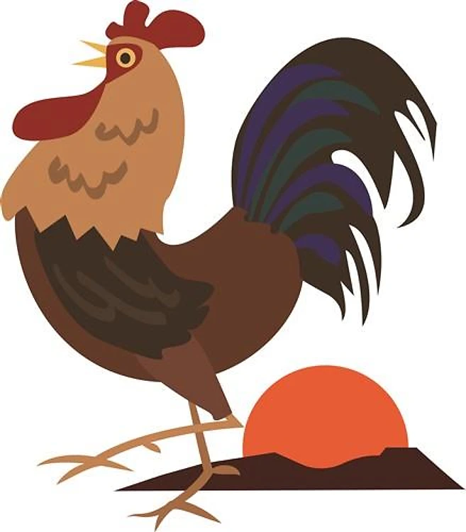 Morning Rooster