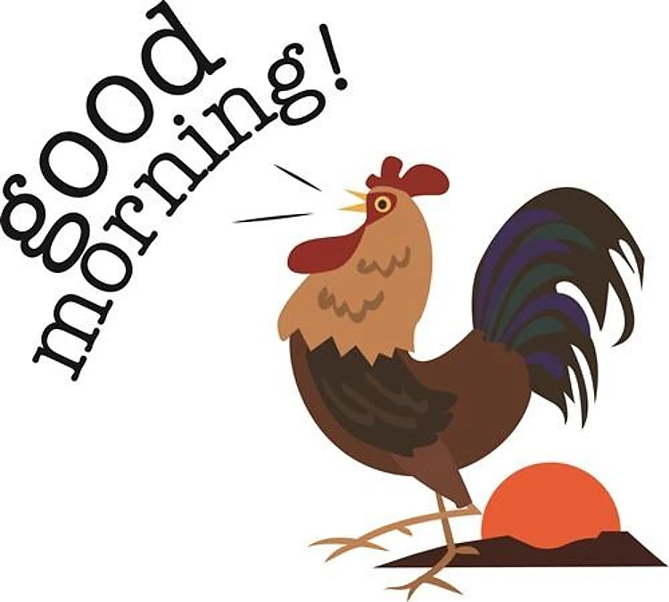 Good Morning