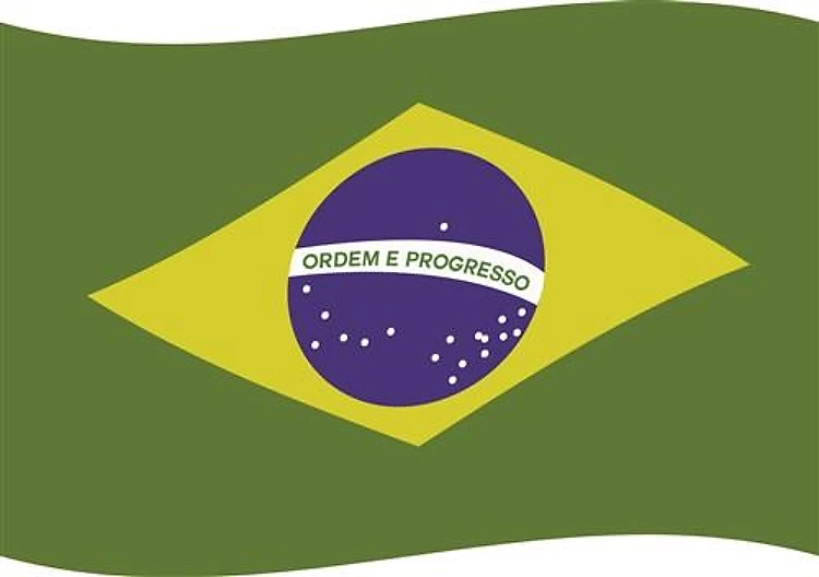 Flag Of Brazil