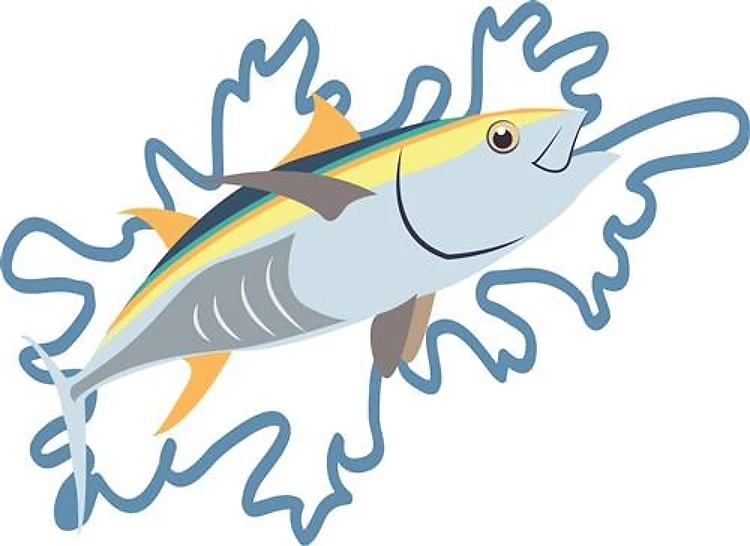 Tuna Fishing