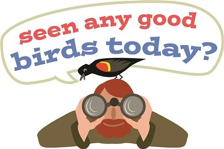 Seen Any Birds