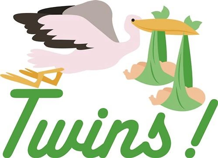 Stork Delivering Twins