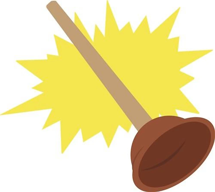 Toilet Plunger