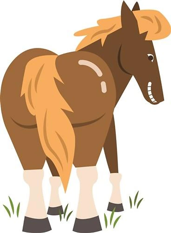 Horses Ass