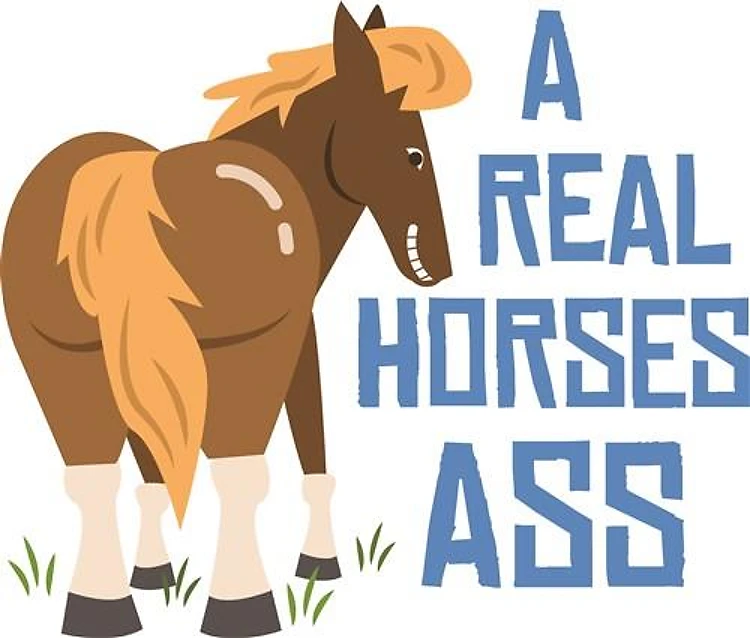 Real Horses Ass