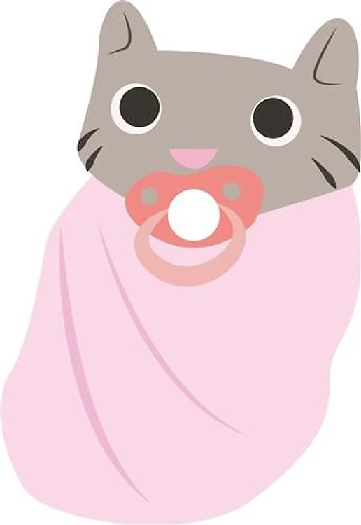 Baby Cat