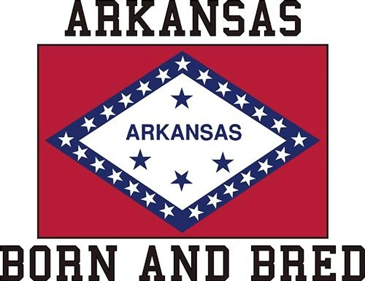 Arkansas Flag