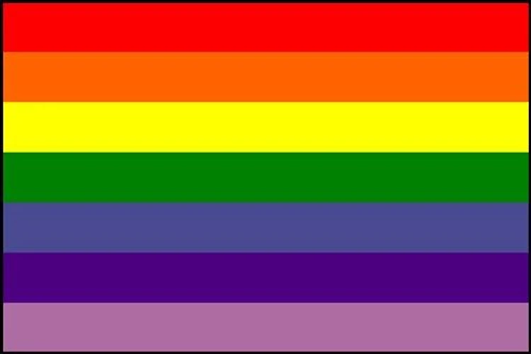 Gay Alliance Flag