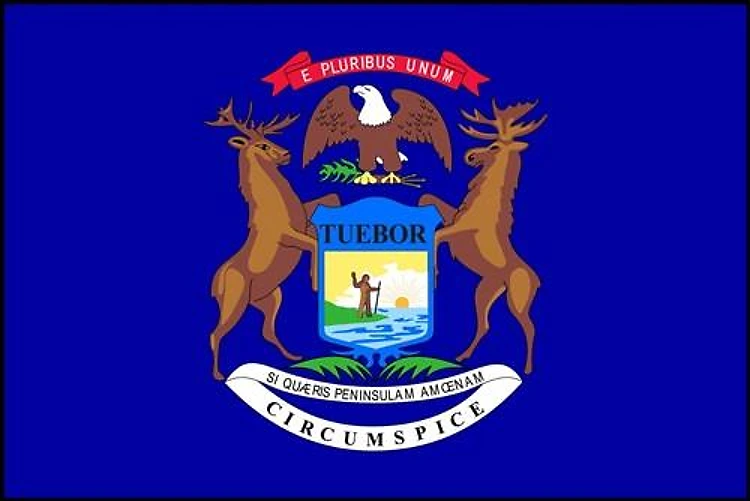 Michigan Flag