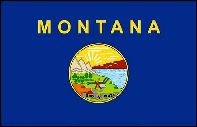 Montana Flag