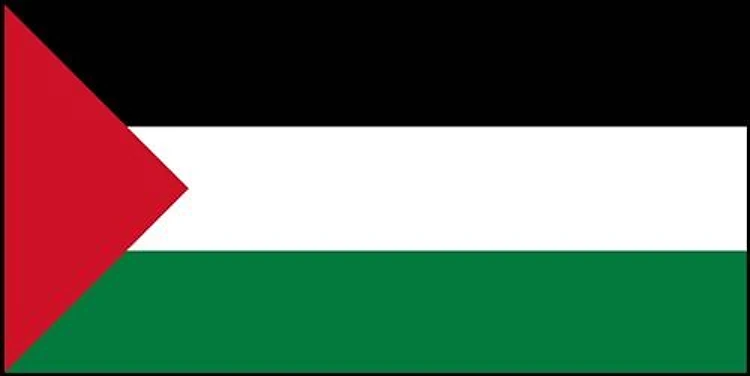 Palestine Flag