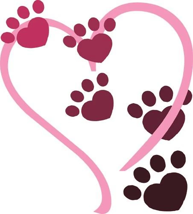 Dog Paws