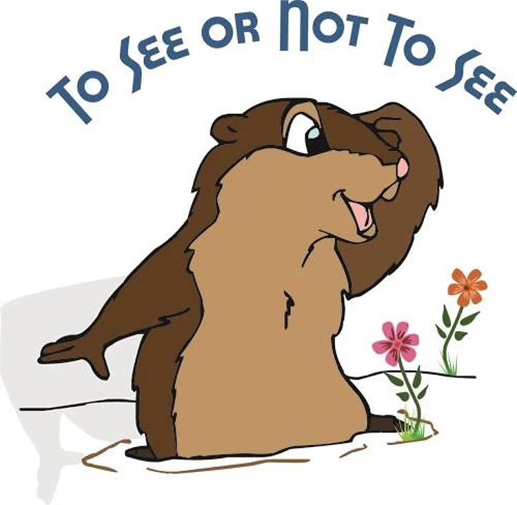 To See Or Not