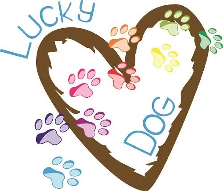 Lucky Dog