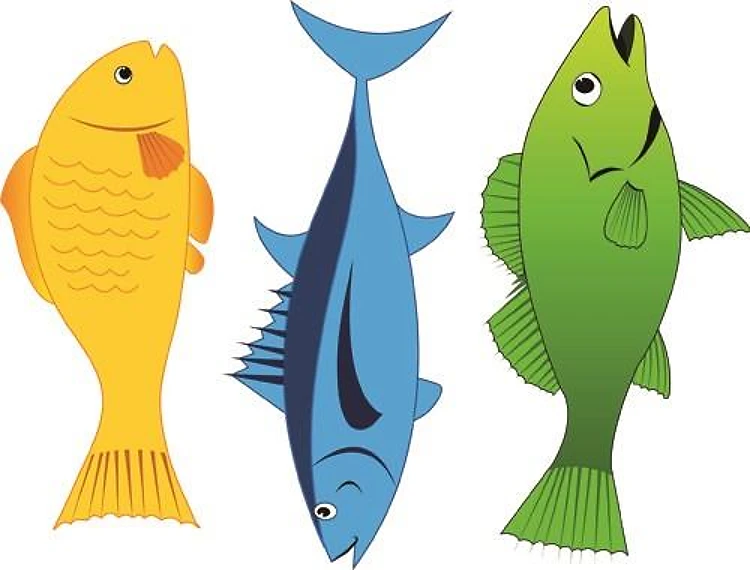 Fish