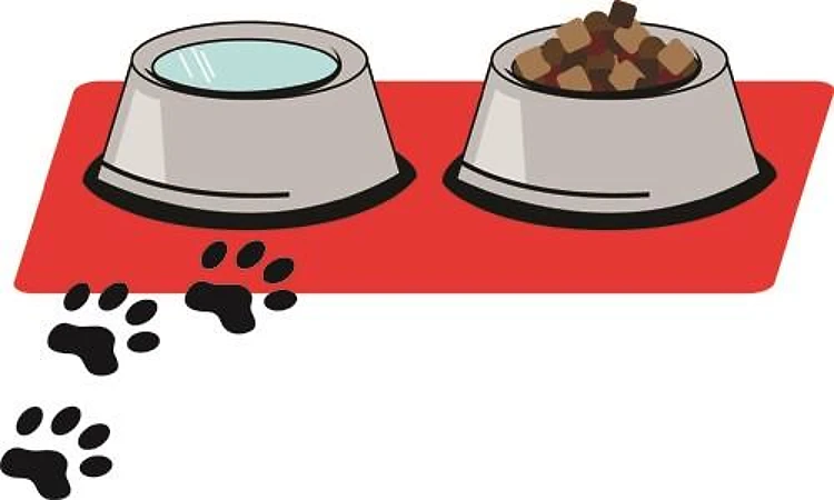 Pet Feeding Bowls