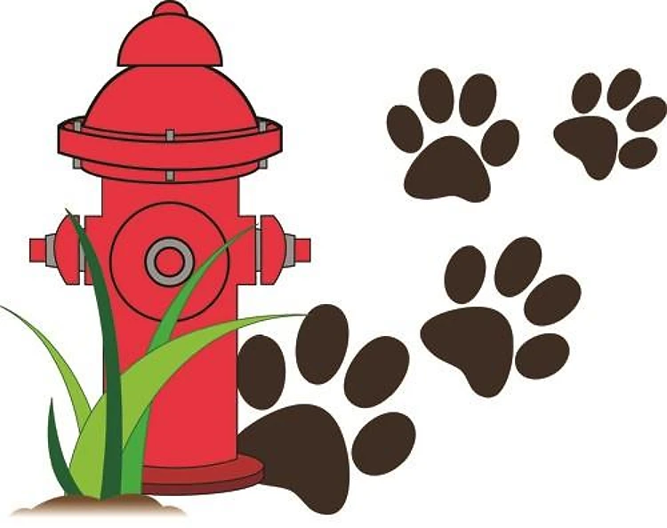 Fire Hydrant