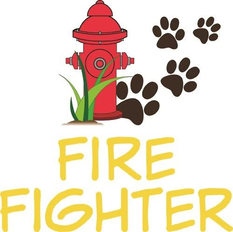 Fire Fighter
